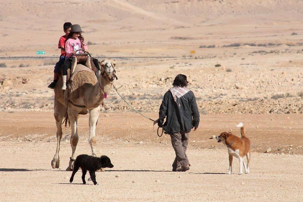 Spice Quarter Inn Mitzpe Ramon Εξωτερικό φωτογραφία